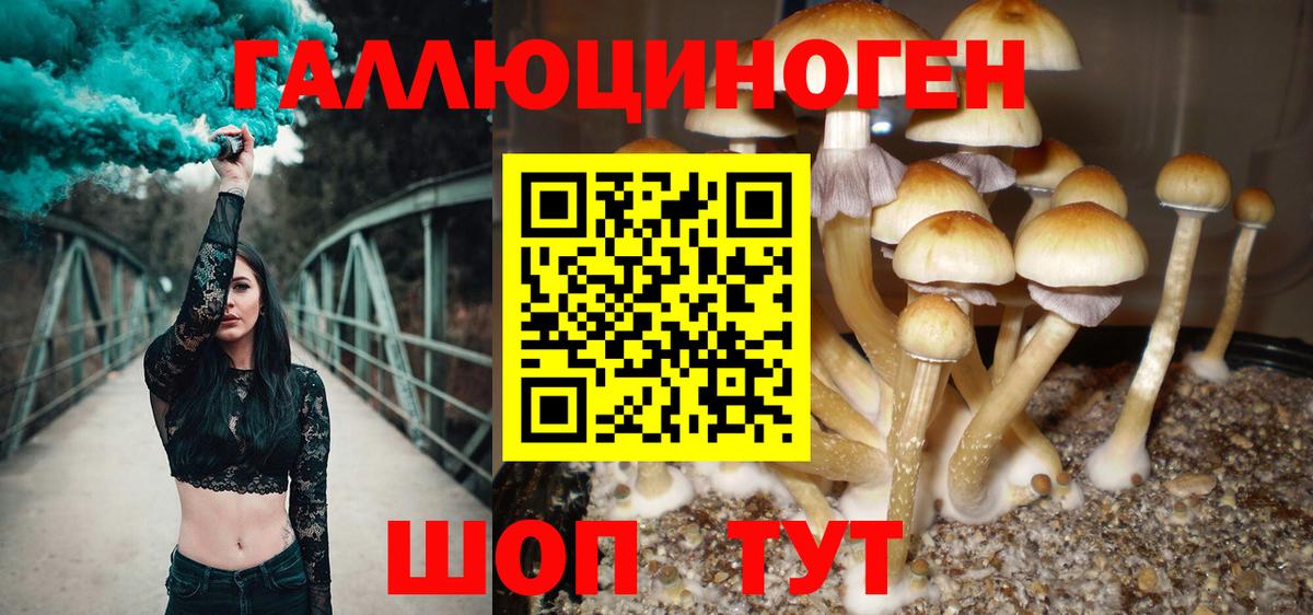 Нефтекамск  Галлюциногенные грибы Magic Shrooms  Вход с VPN  Галлюциногенные грибы Psilocybine cubensis 