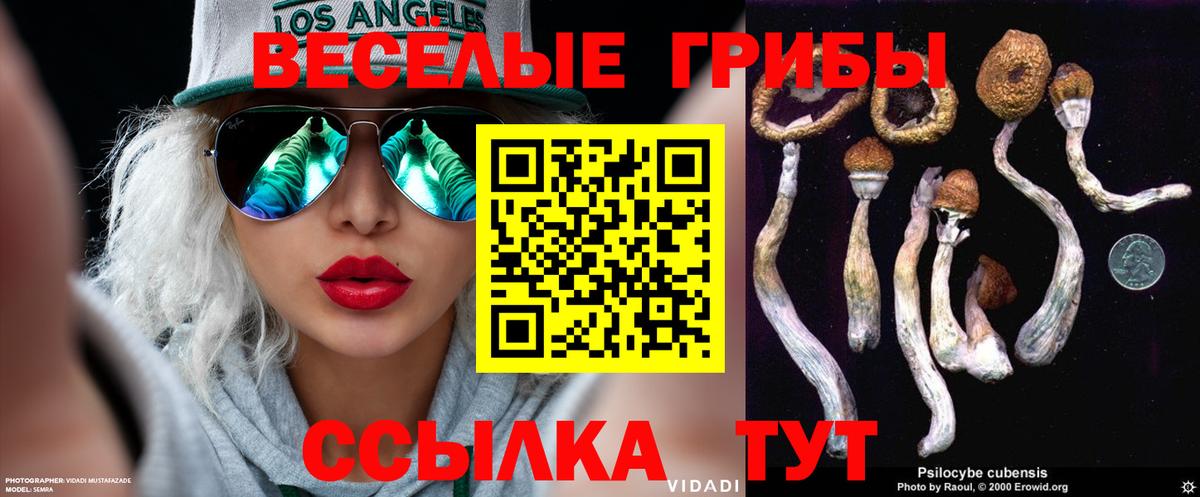 Псилоцибиновые грибы Psilocybe Нефтекамск